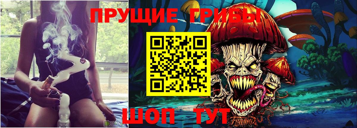 Псилоцибиновые грибы мухоморы Черкесск