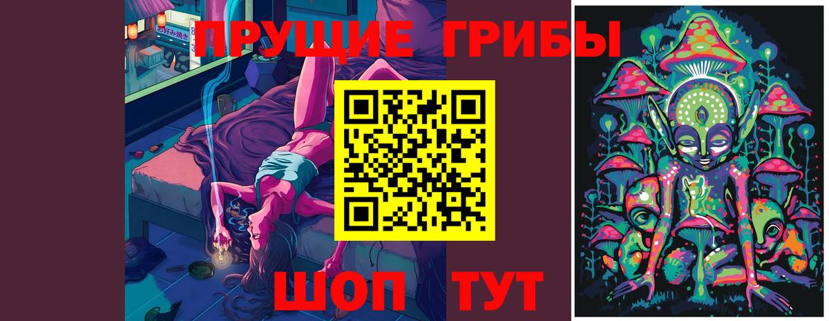 Псилоцибиновые грибы мицелий  Галлюциногенные грибы Psilocybe  Вход с VPN  Черкесск 